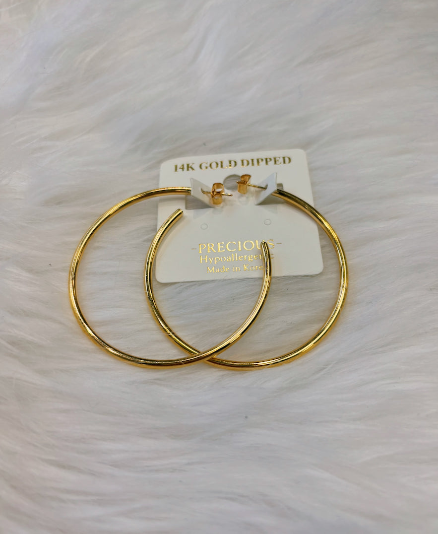 Precious Gold Hoops